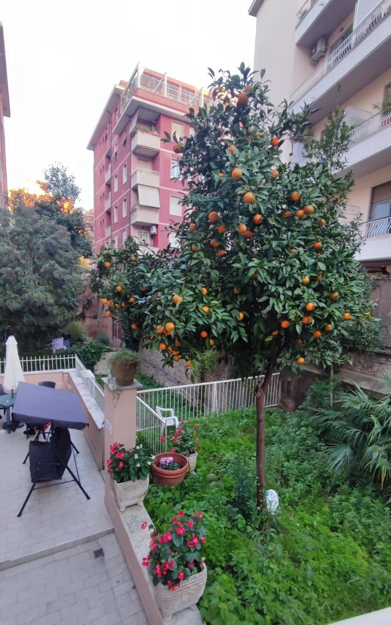 Vatican Green Garden Róma Kültér fotó
